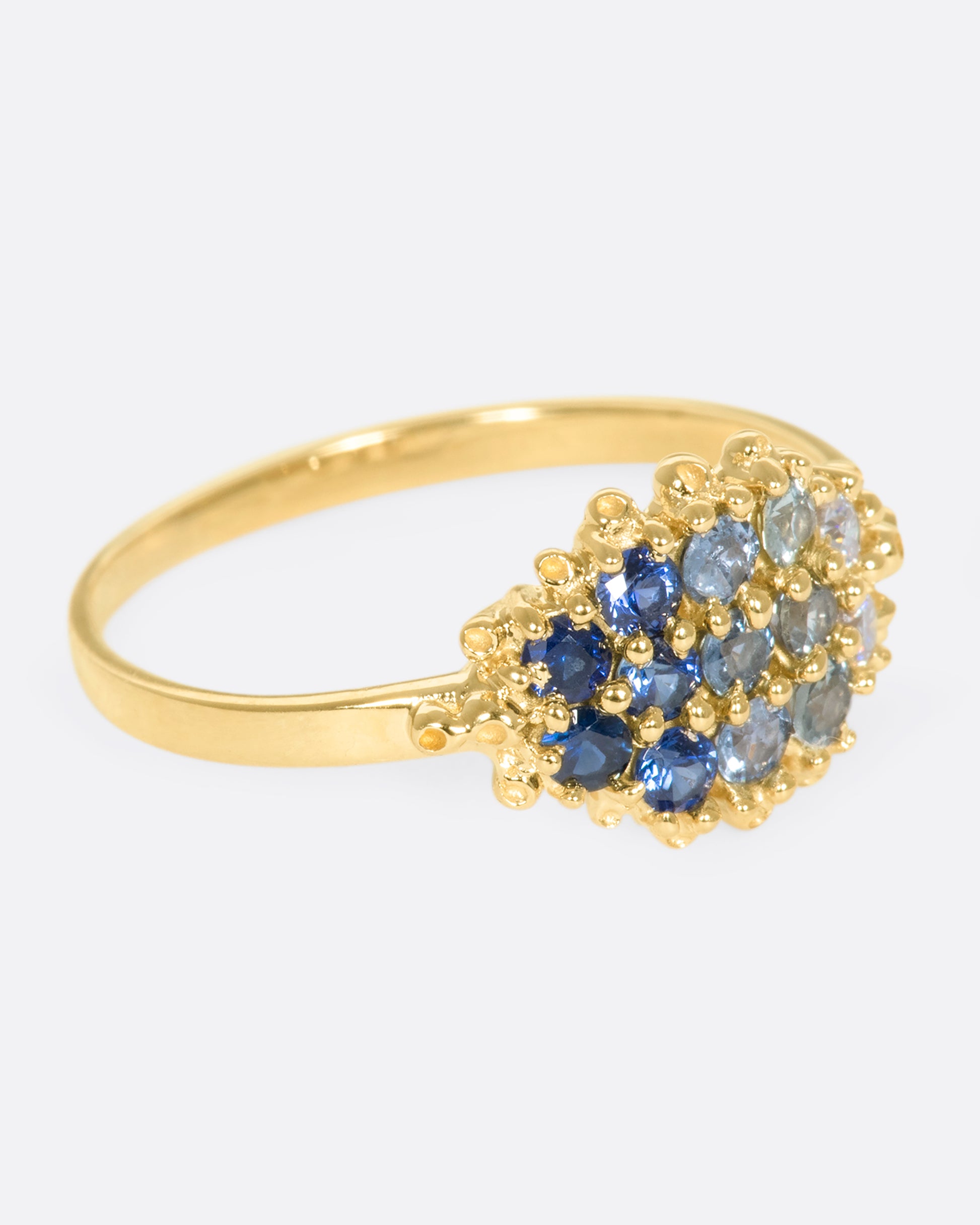 A right side view of a yellow gold ring with 12 sapphires in a range of blue shades.
