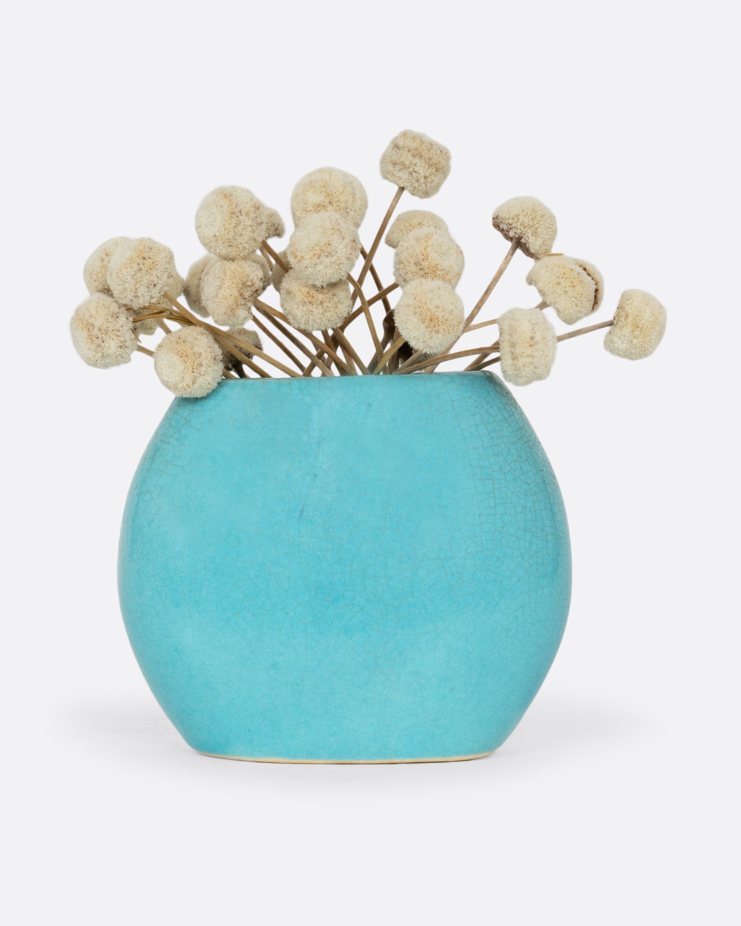A turquoise bud vase with a crackle glaze. Shown from the front with white dried flowers in it.