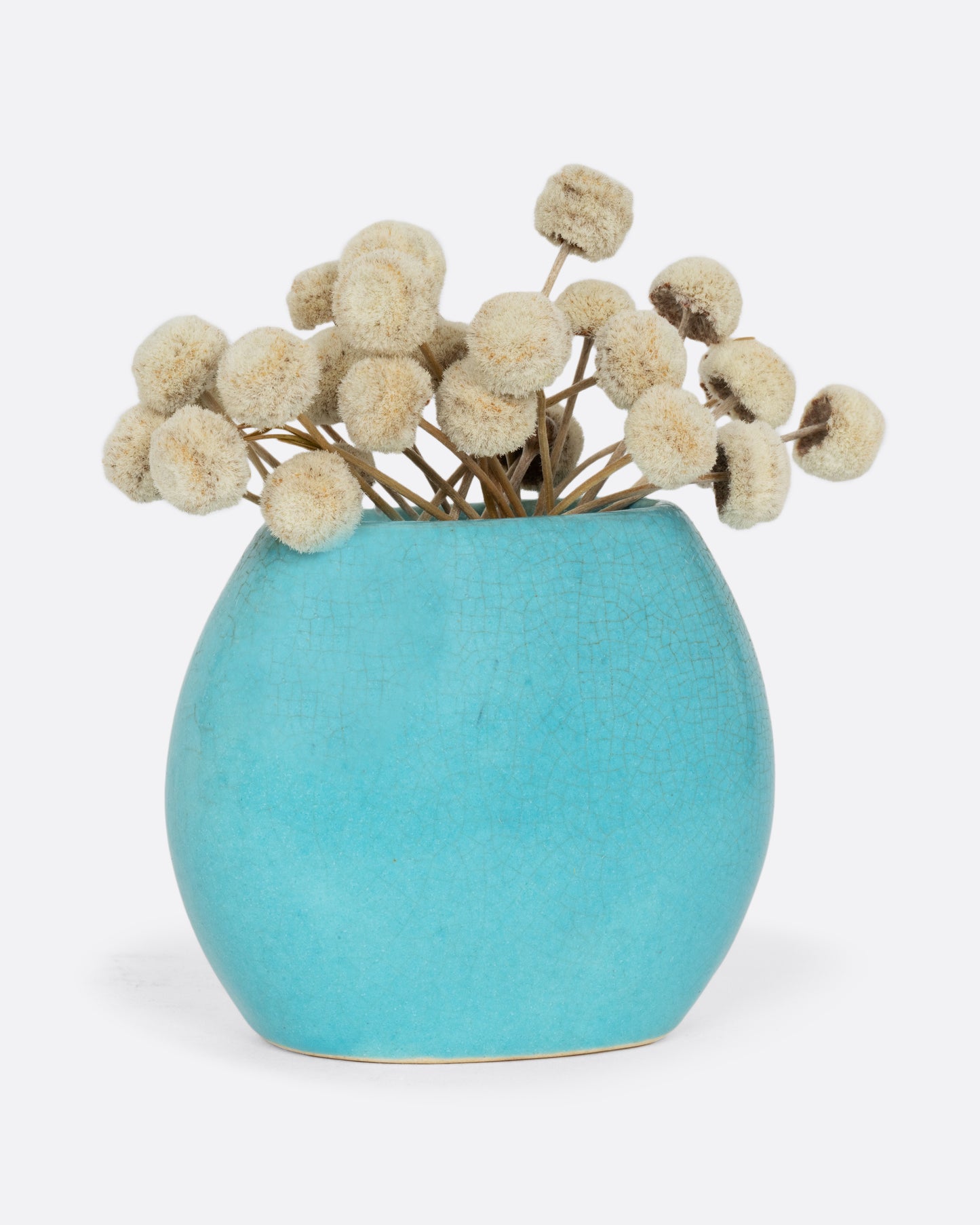 A turquoise bud vase with a crackle glaze. Shown from the front with white dried flowers in it.