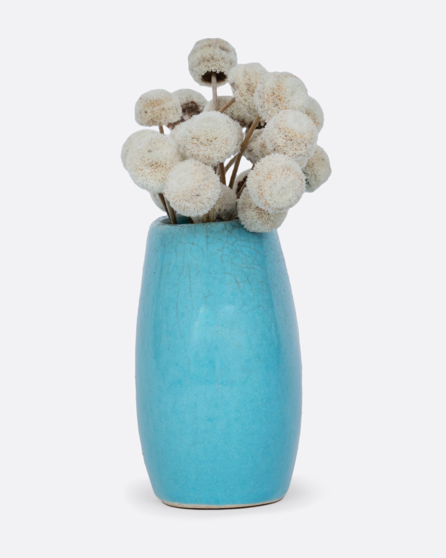 A turquoise bud vase with a crackle glaze. Shown from the side with white dried flowers in it.
