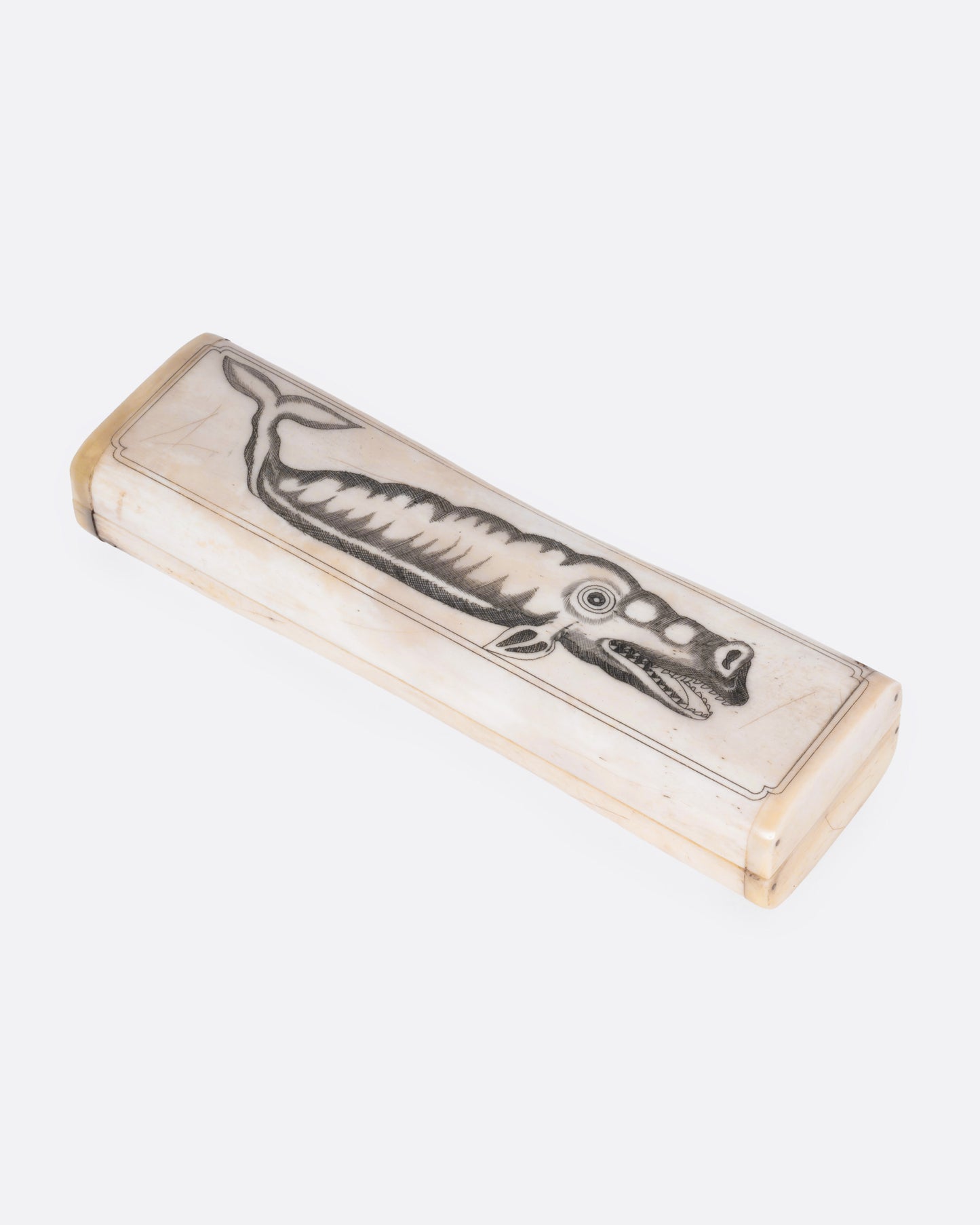 Scrimshaw Whale Box