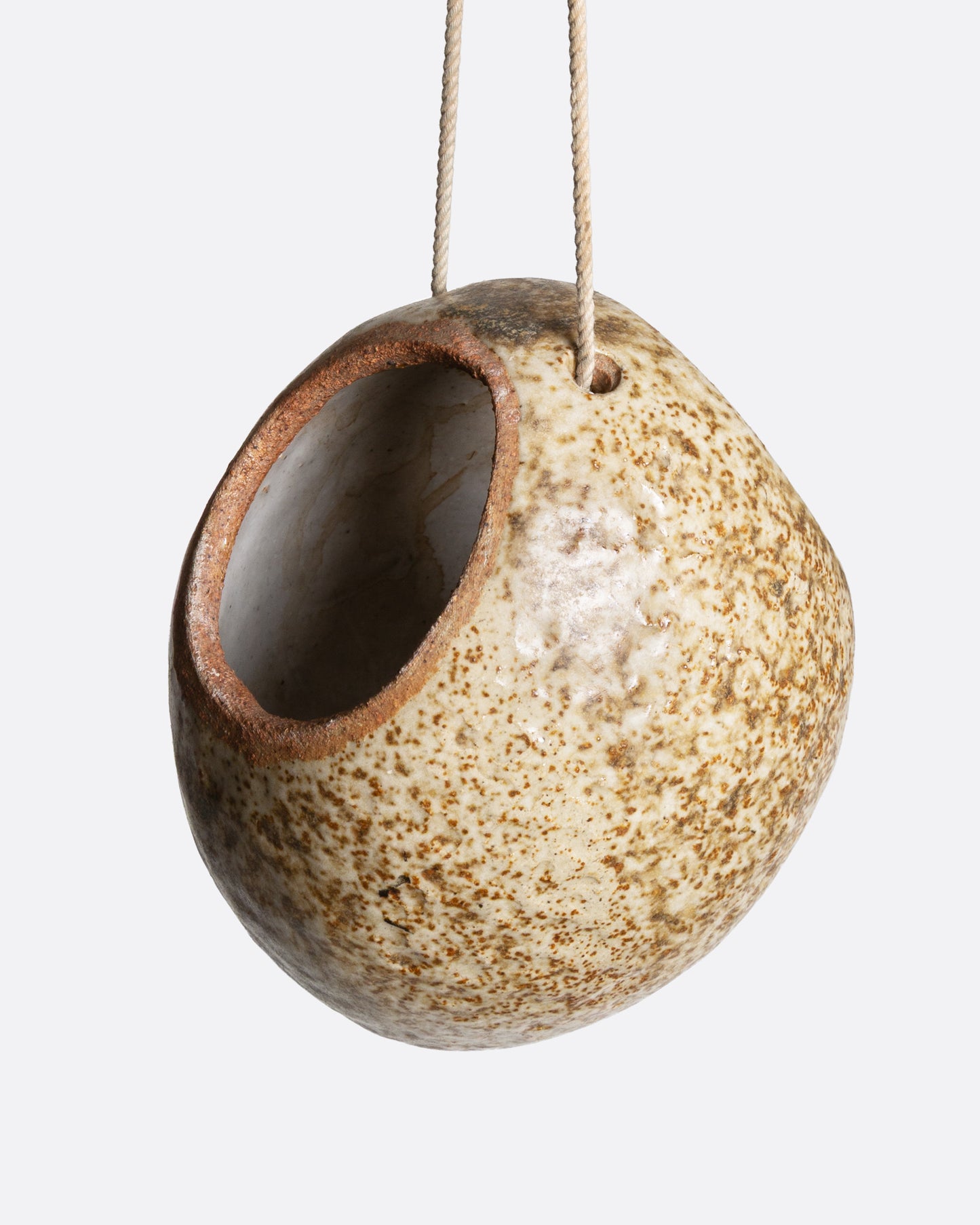 Egg Shaped Hanging Planter