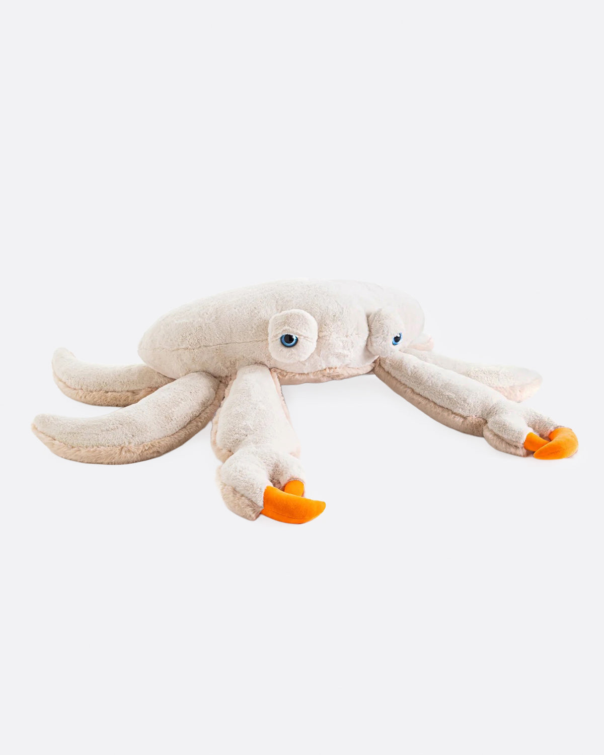 Furry cream stuffed crab lying flat with its legs spread out, shown from the front.