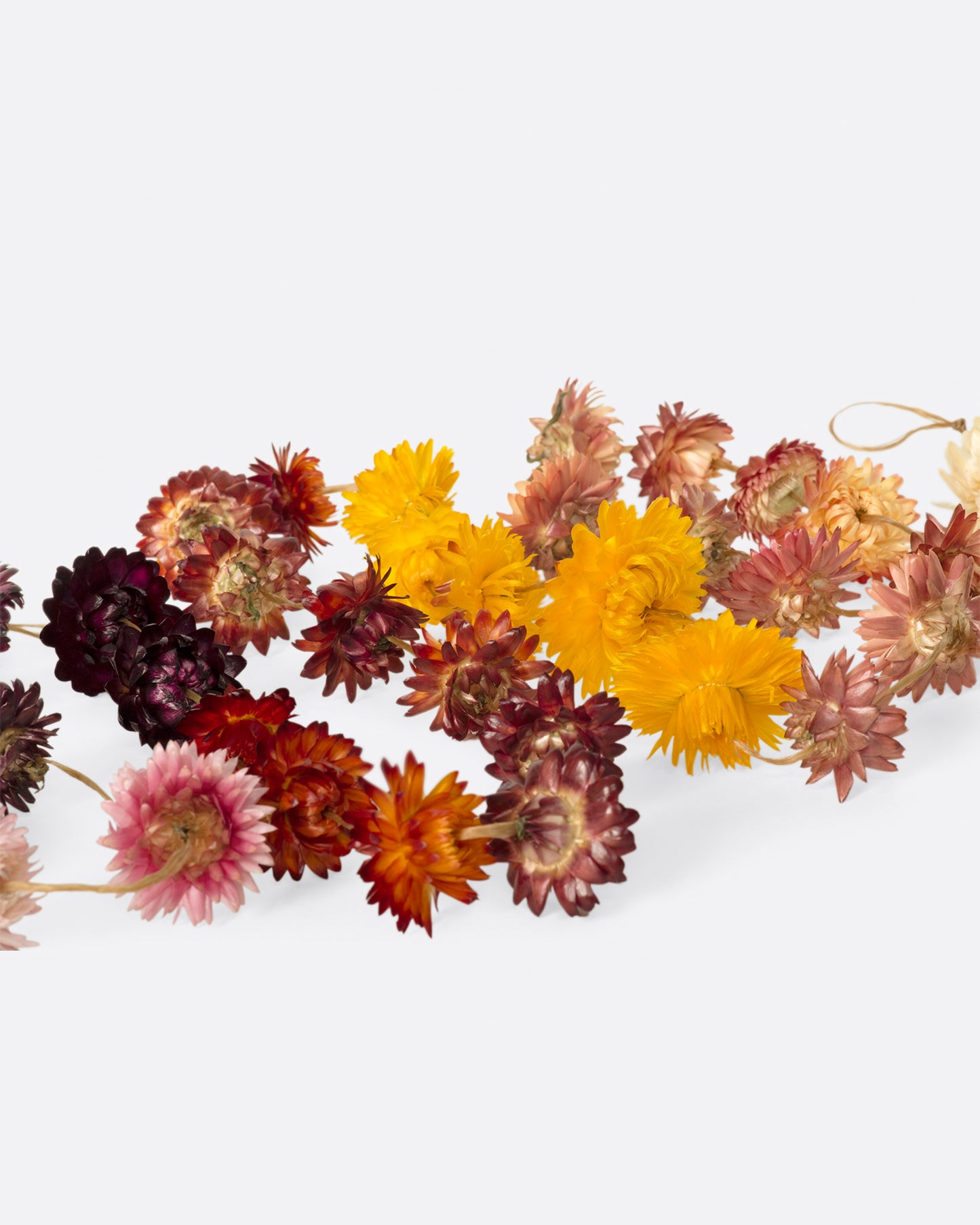 These garlands are hand strung and knotted with homegrown strawflowers, sure to brighten any space.