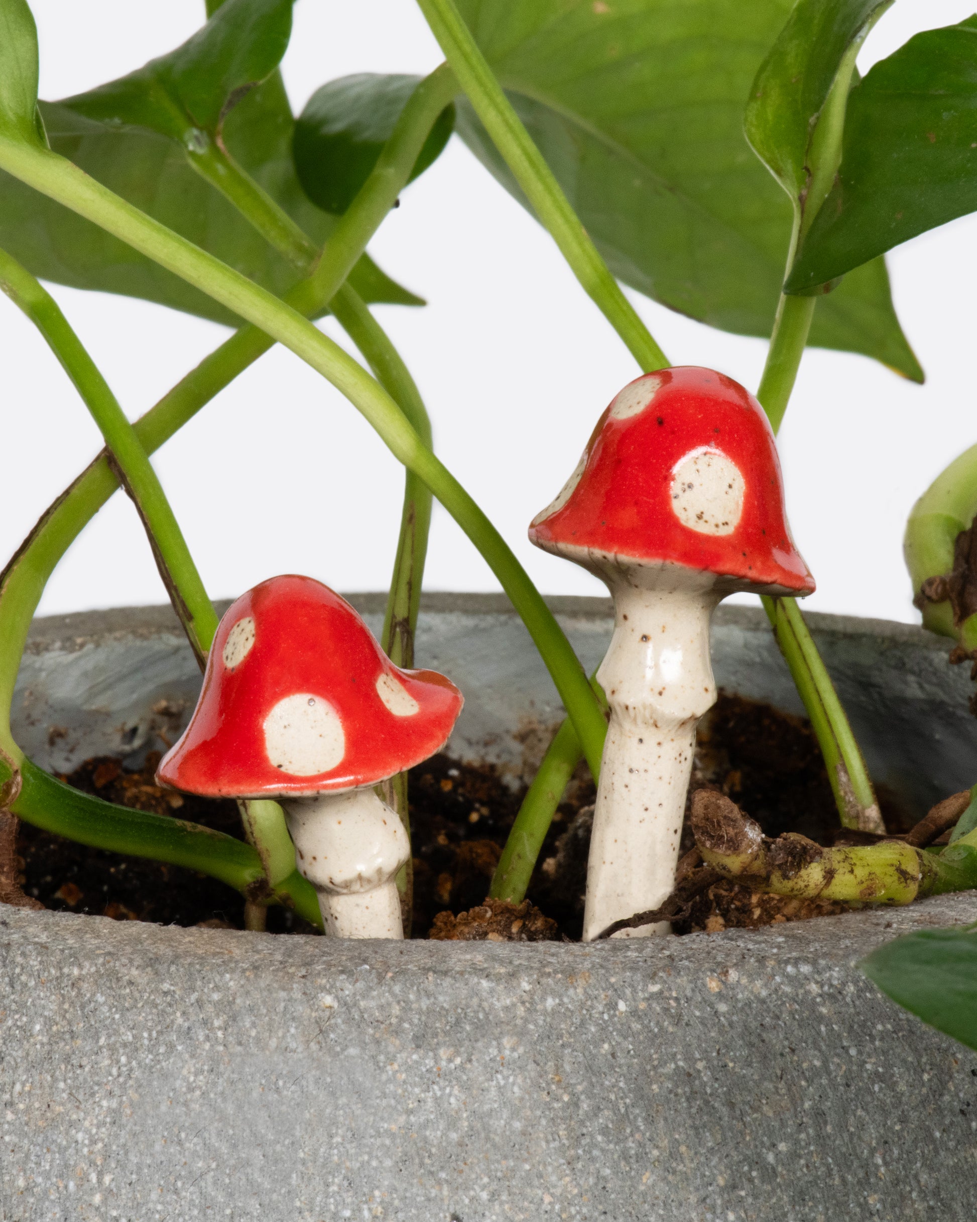 These ceramic shroom plant sculptures are like little friends for your house plant—a staple in our dopamine decor.