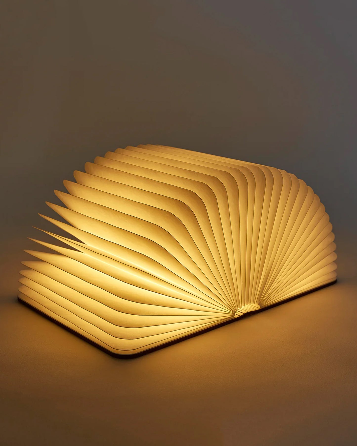 Smart Book Light