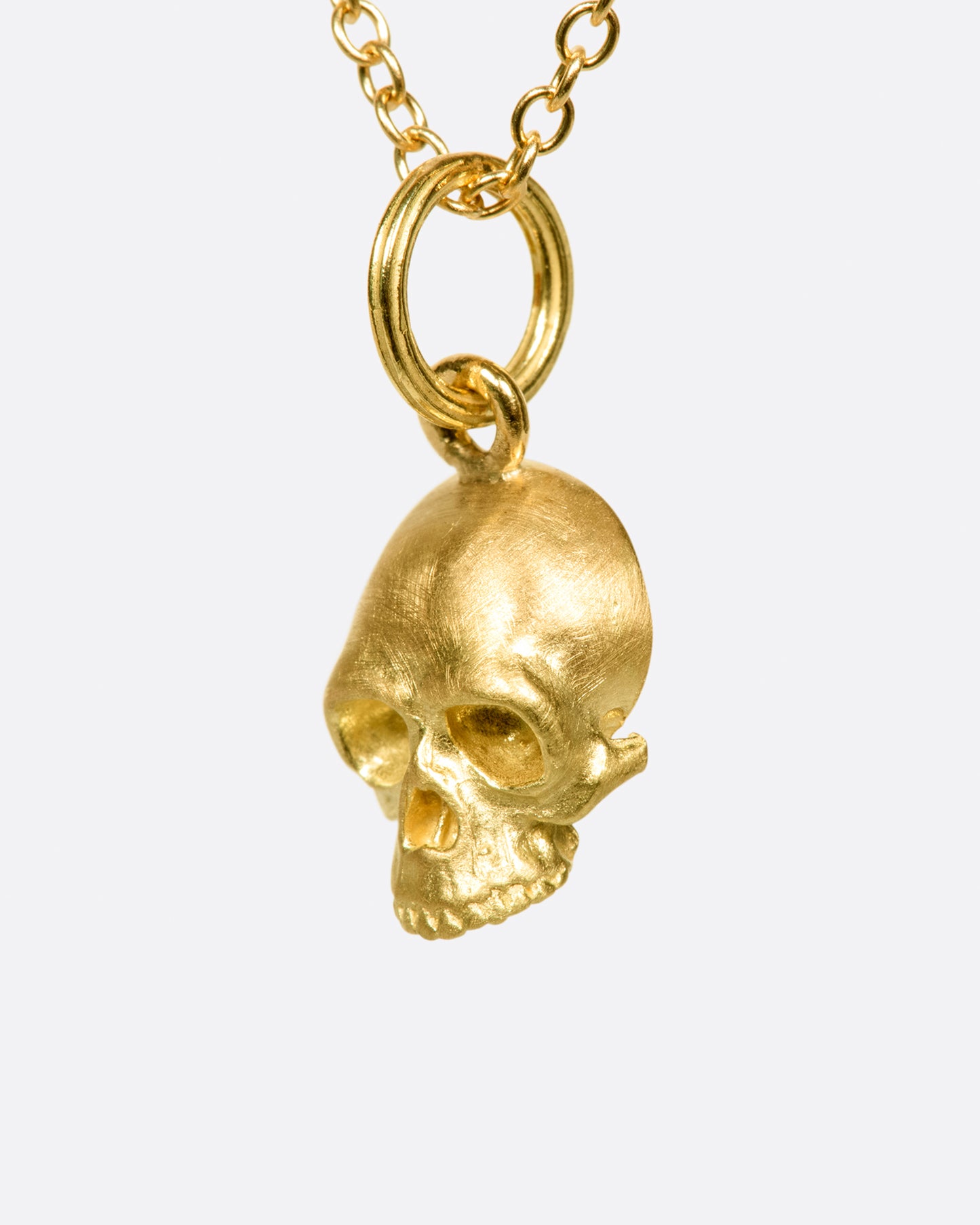 A cable chain necklace with a skull pendant based on the anatomical illustrations of Leonardo Da Vinci.