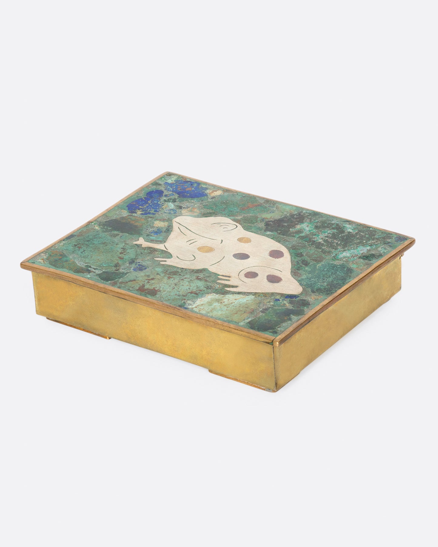 A friendly spotted frog guards the contents of tis stone-lined box.