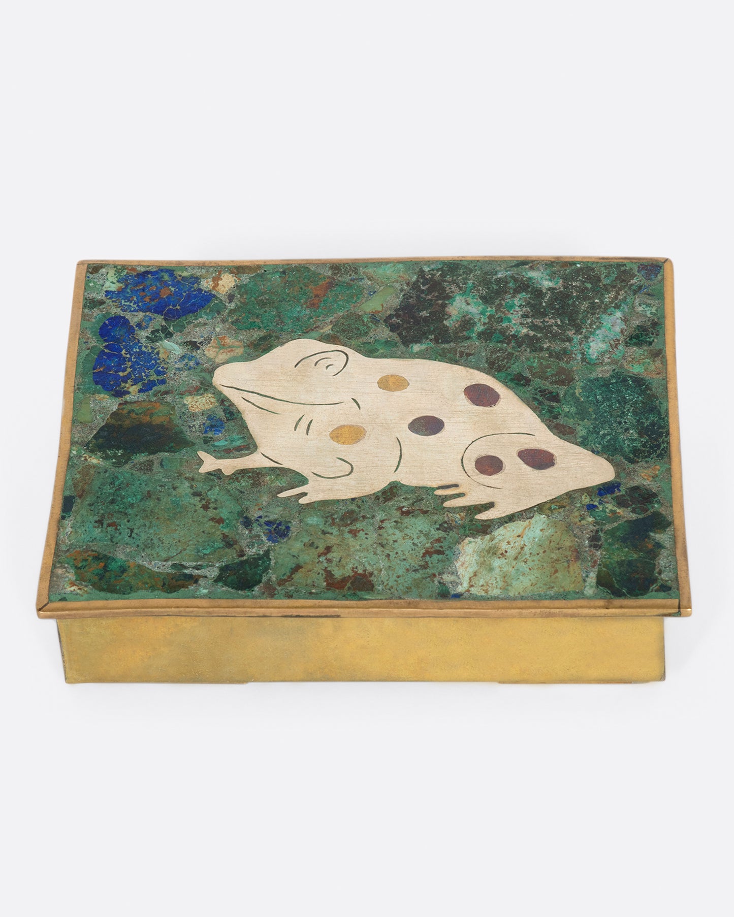 A friendly spotted frog guards the contents of tis stone-lined box.