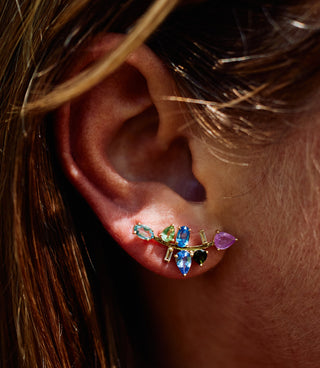 A curved stud with all different stones, worn on the ear.