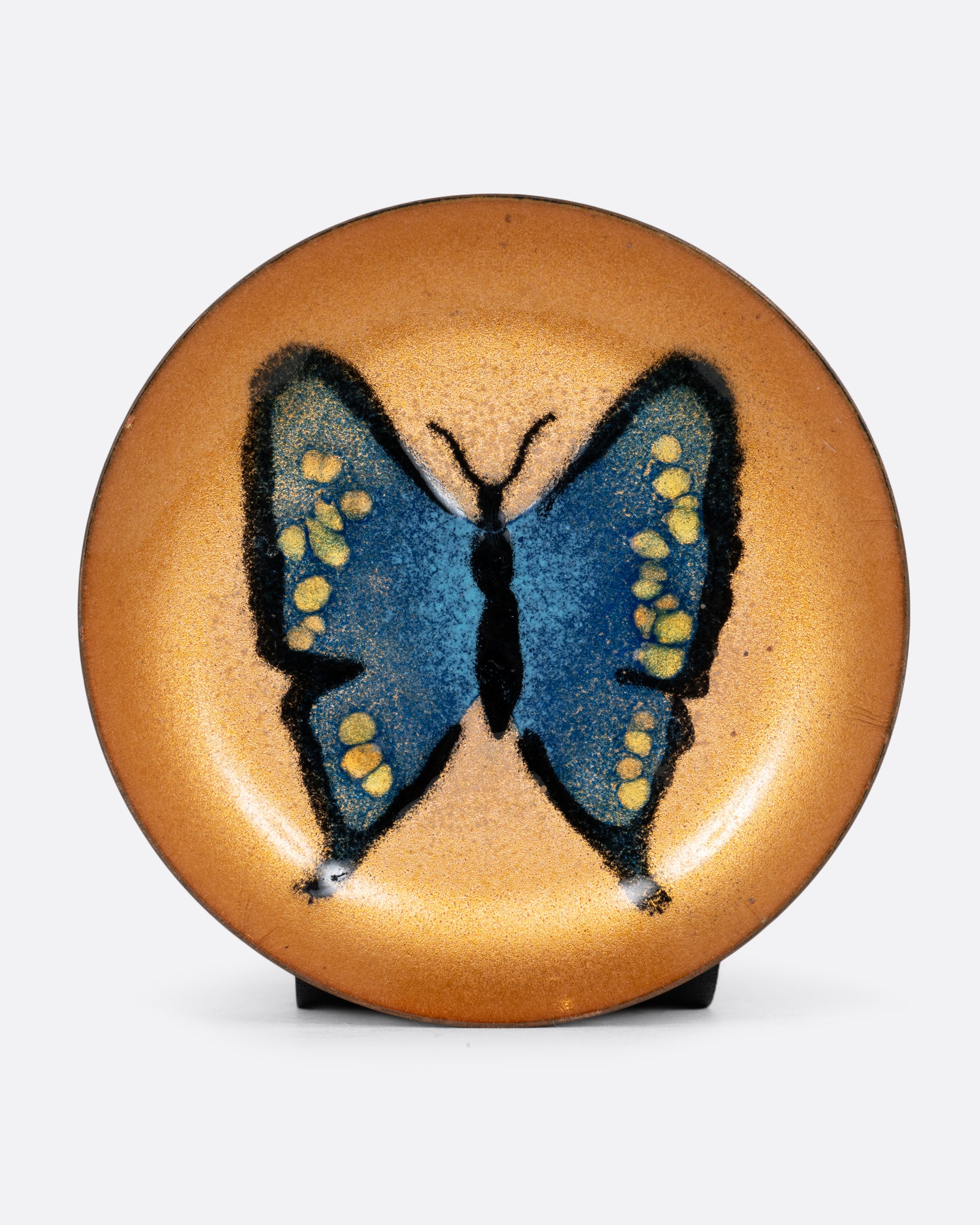 A small enameled metal blue butterfly plate. Shown from the front.