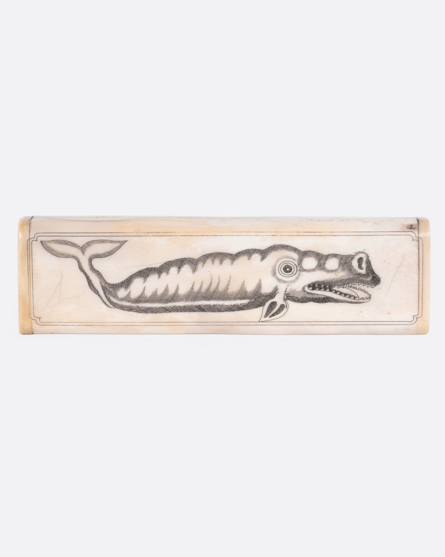 Scrimshaw Whale Box