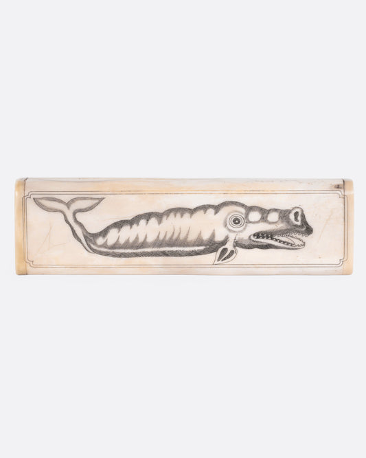 Scrimshaw Whale Box