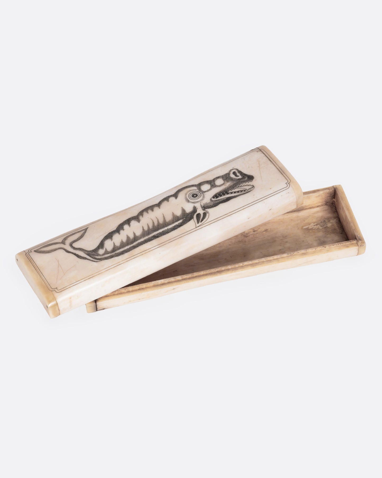 Scrimshaw Whale Box