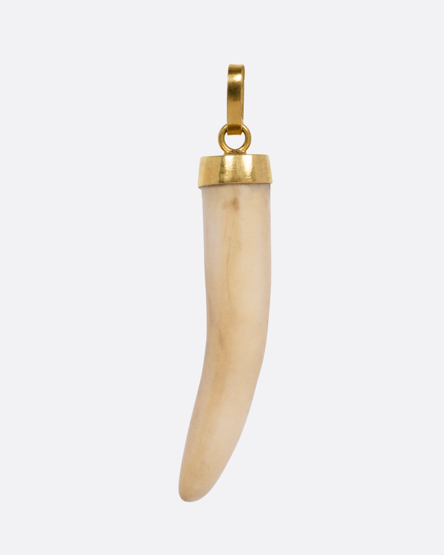 Horn Charm