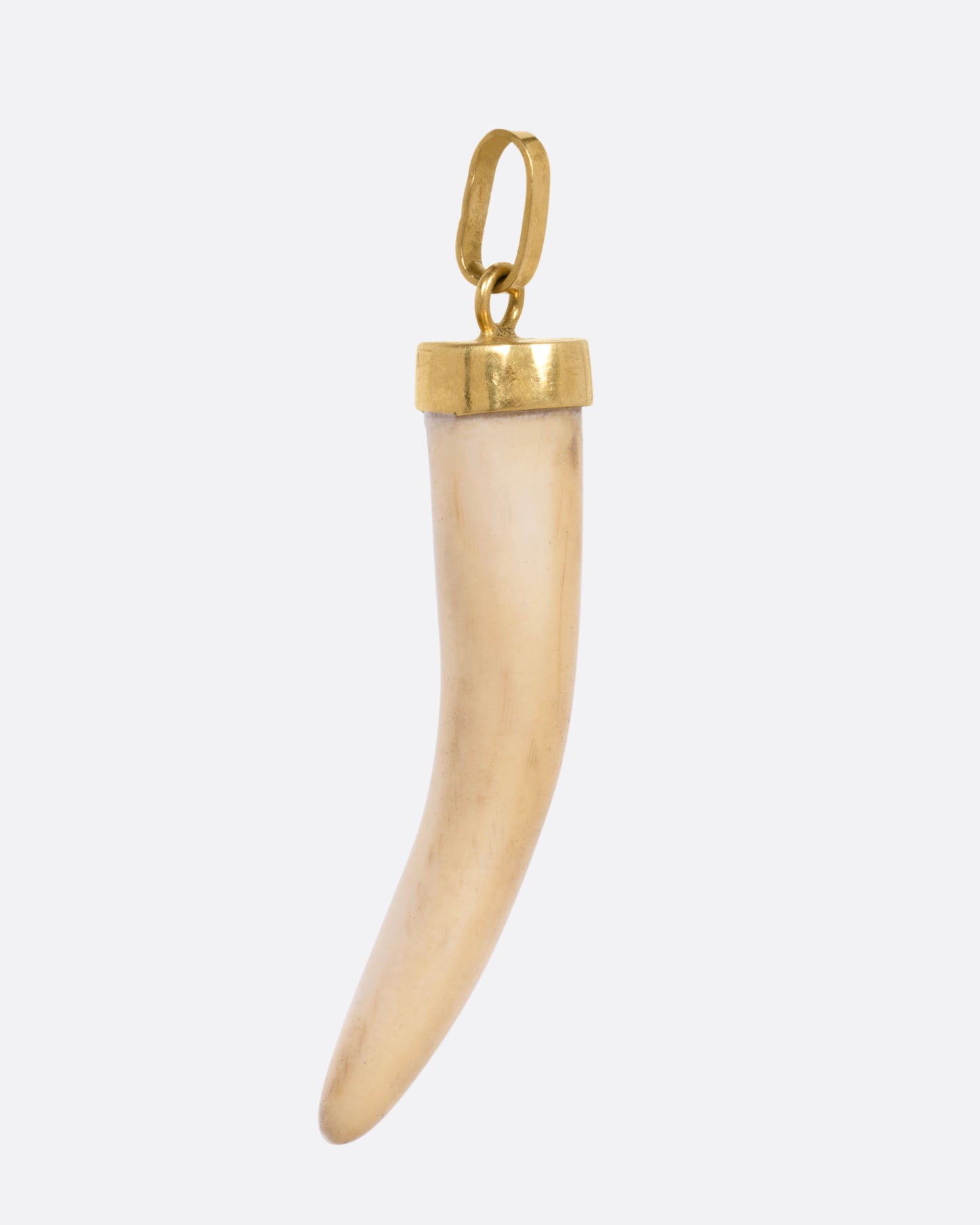 Horn Charm