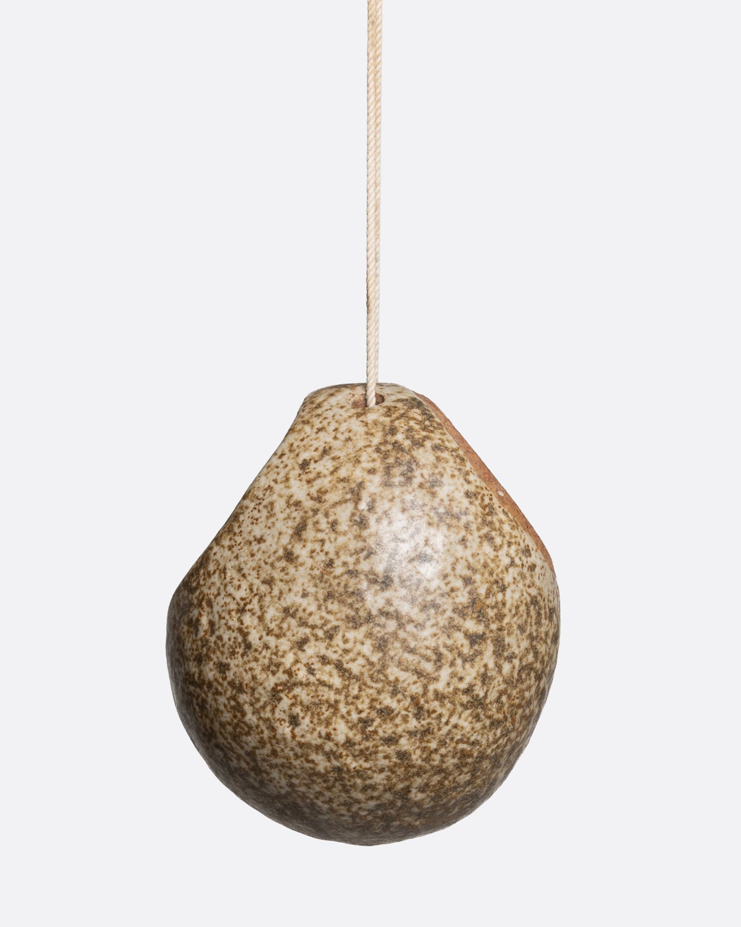 Egg Shaped Hanging Planter