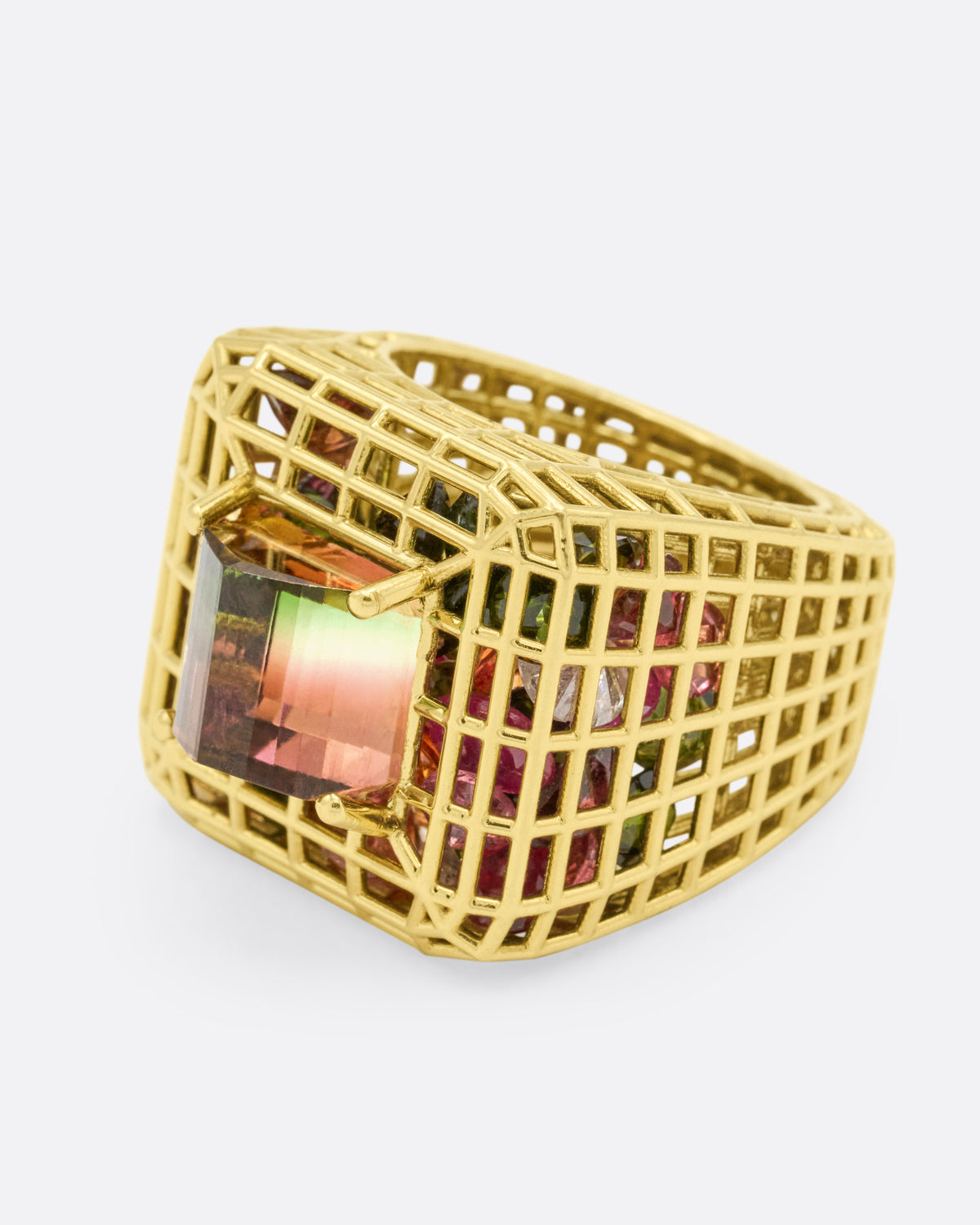 Bicolor Tourmaline Cagey Dome Ring