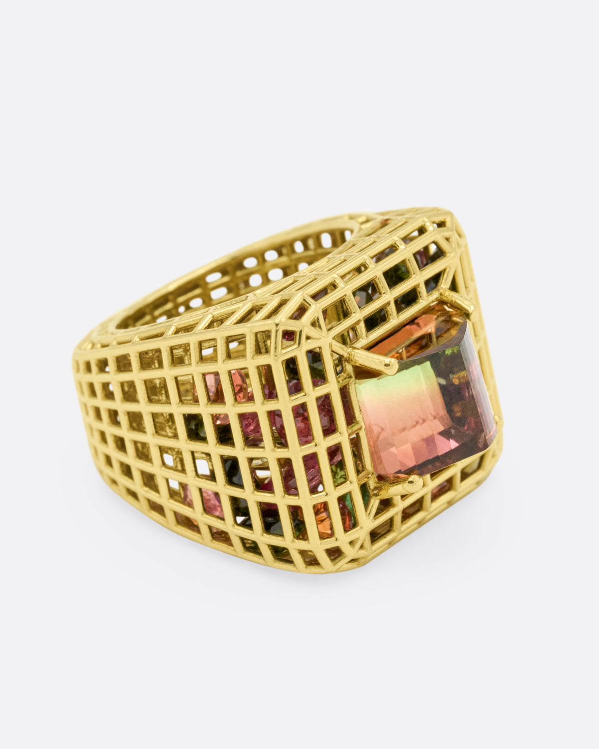 Bicolor Tourmaline Cagey Dome Ring