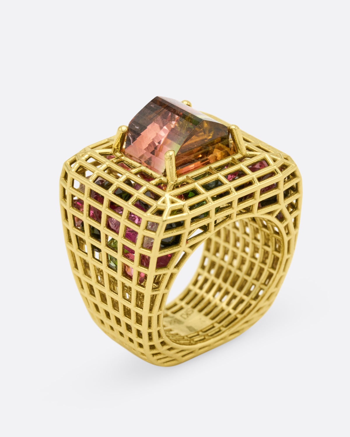 Bicolor Tourmaline Cagey Dome Ring