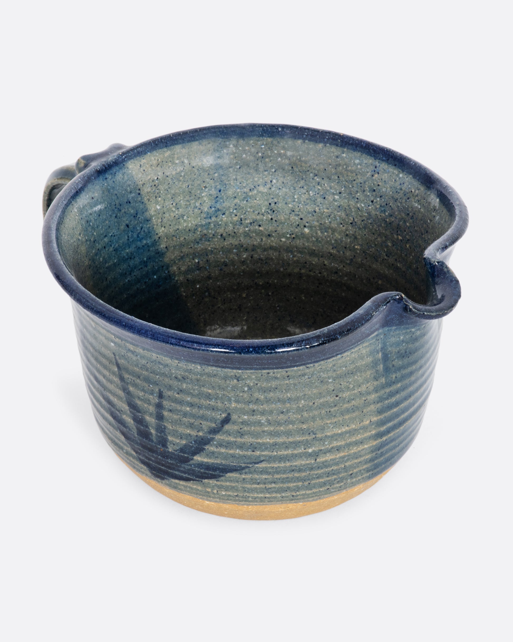 Blue ceramic batter bowl with an aloe plant. View of the inside.