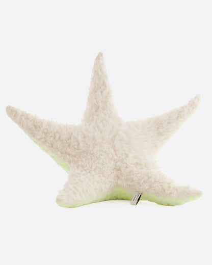 Stuffed Starfish