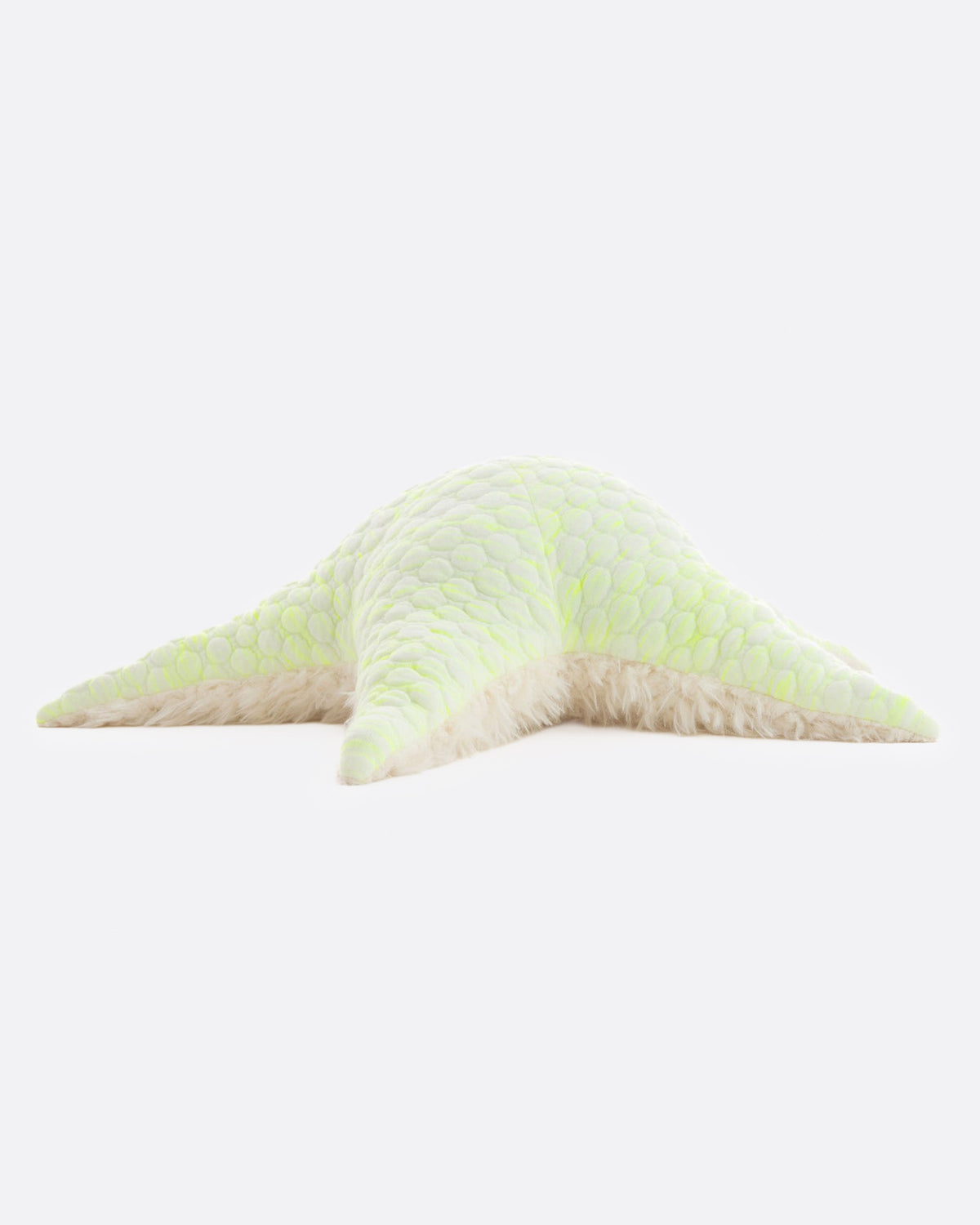 Stuffed Starfish