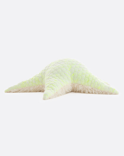 Stuffed Starfish