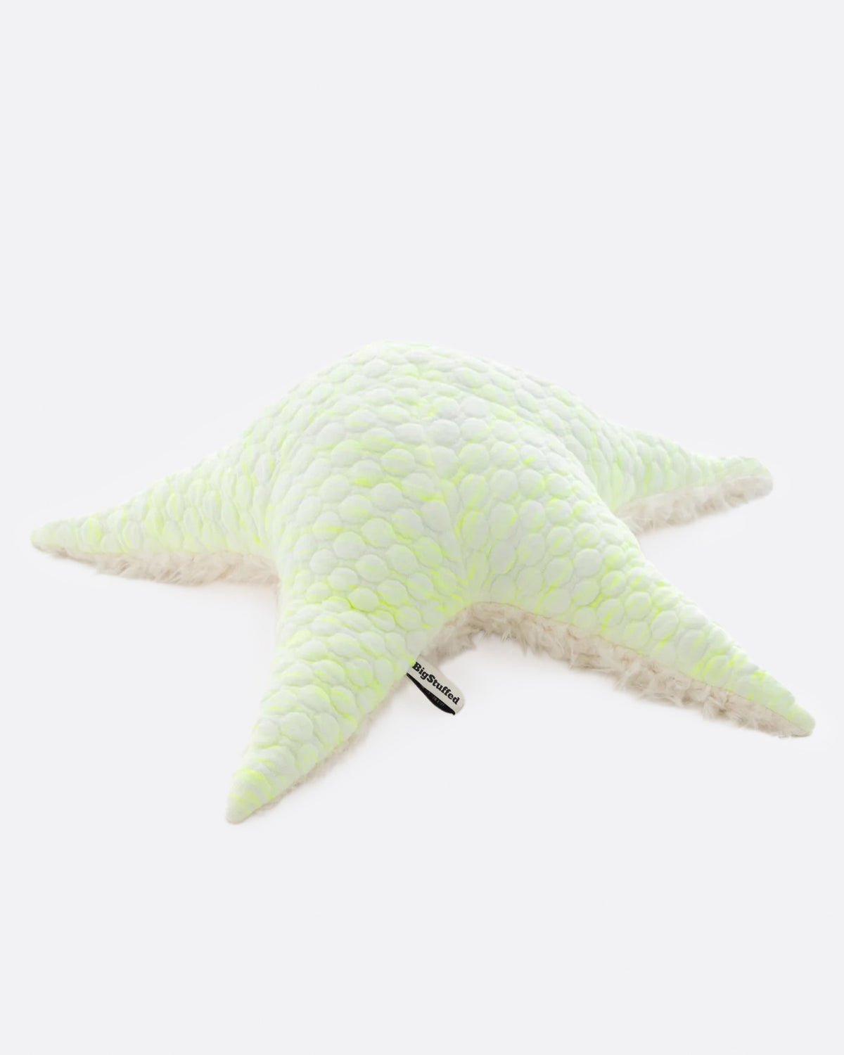 Stuffed Starfish