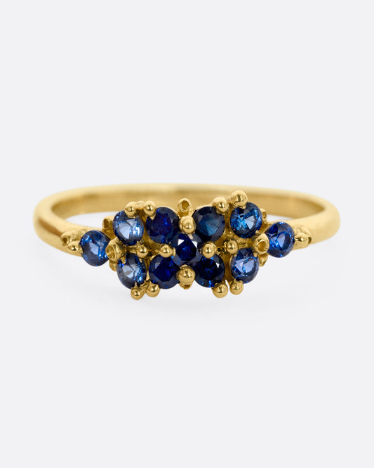 A yellow gold ring with a cluster of eleven blue sapphires. Shown from the front.