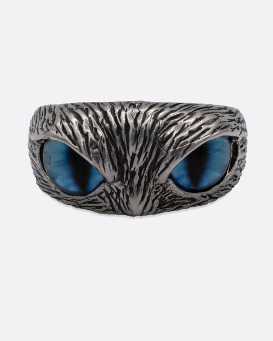 A silver ring with two blue glass eyes across the front. Shown from the front.