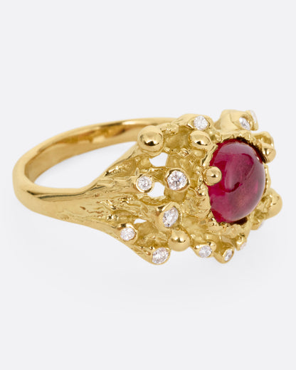 A yellow gold ring with a bed of diamond tipped anemones, and a red rubellite, shown from the side.