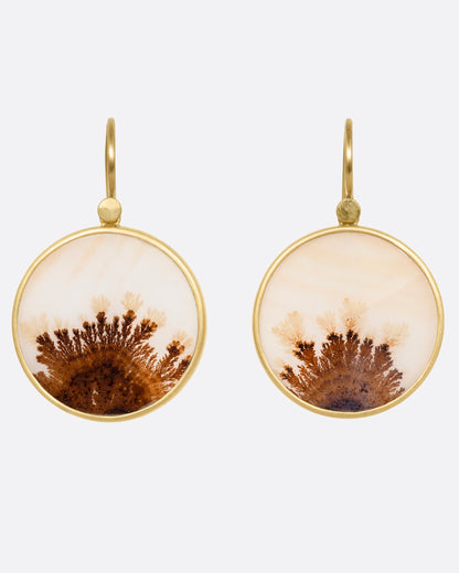 Yellow gold dendritic agate circle drop earrings, the pair from the front showing the brown dendrite patterns on pale agate