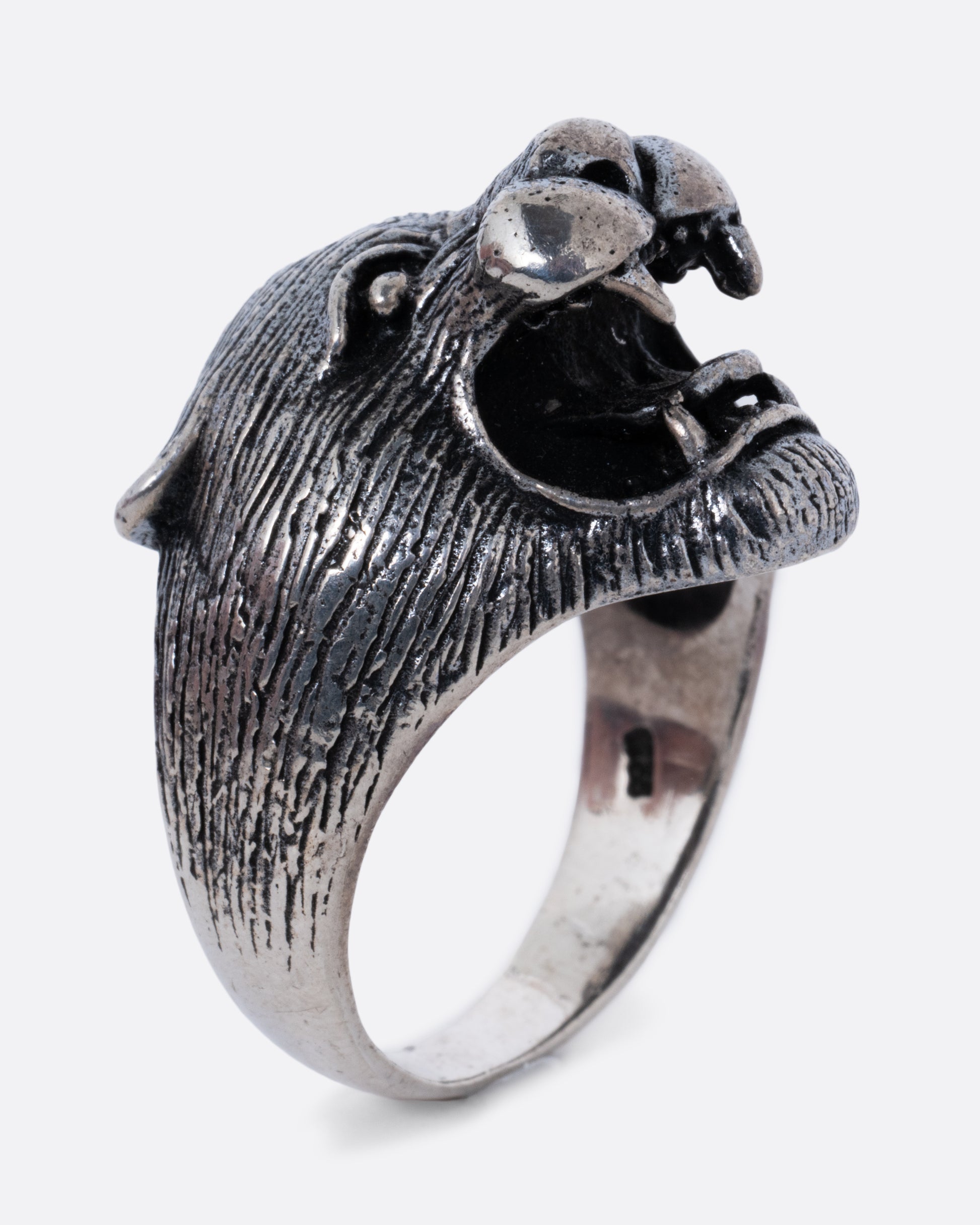A sterling cougar head ring, shown standing up from the side.