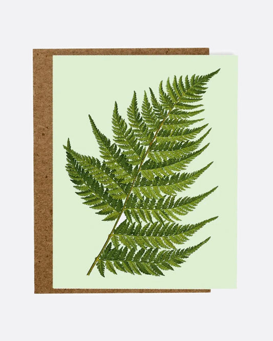 A light green paper greeting card with a fern leaf on the front, a blank white interior, and a kraft paper envelope.