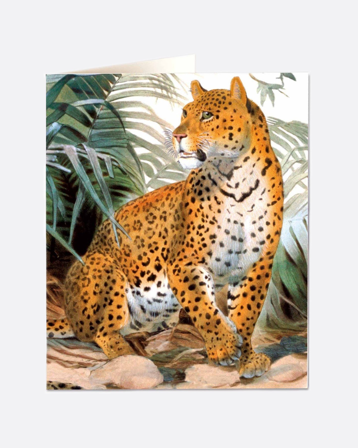 A paper greeting card with a leopard in the jungle on its front and a blank interior.