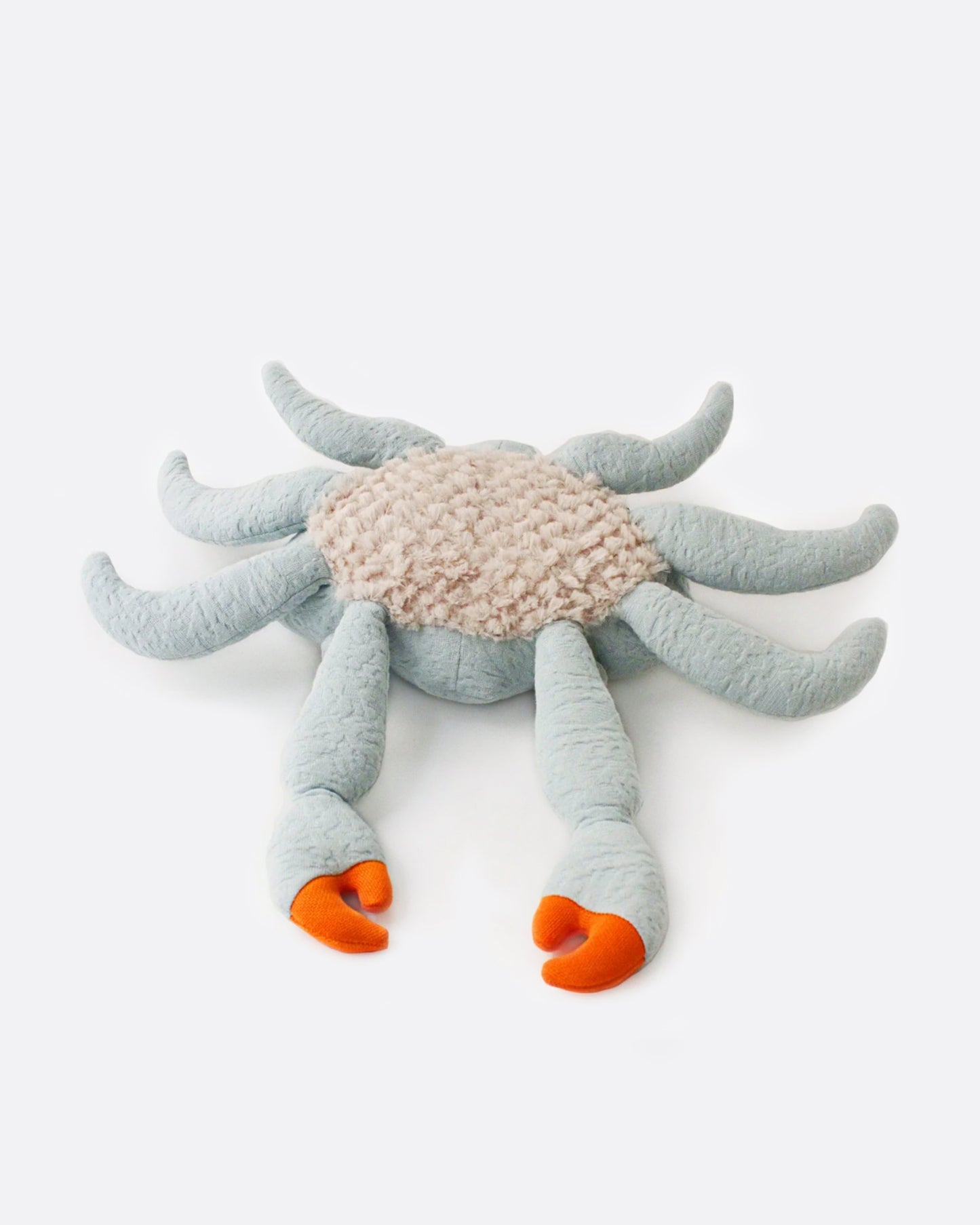 Surprisingly, this crab's favorite thing to eat is carrots. They make his claws orange, but he doesn't mind. It runs in the family.