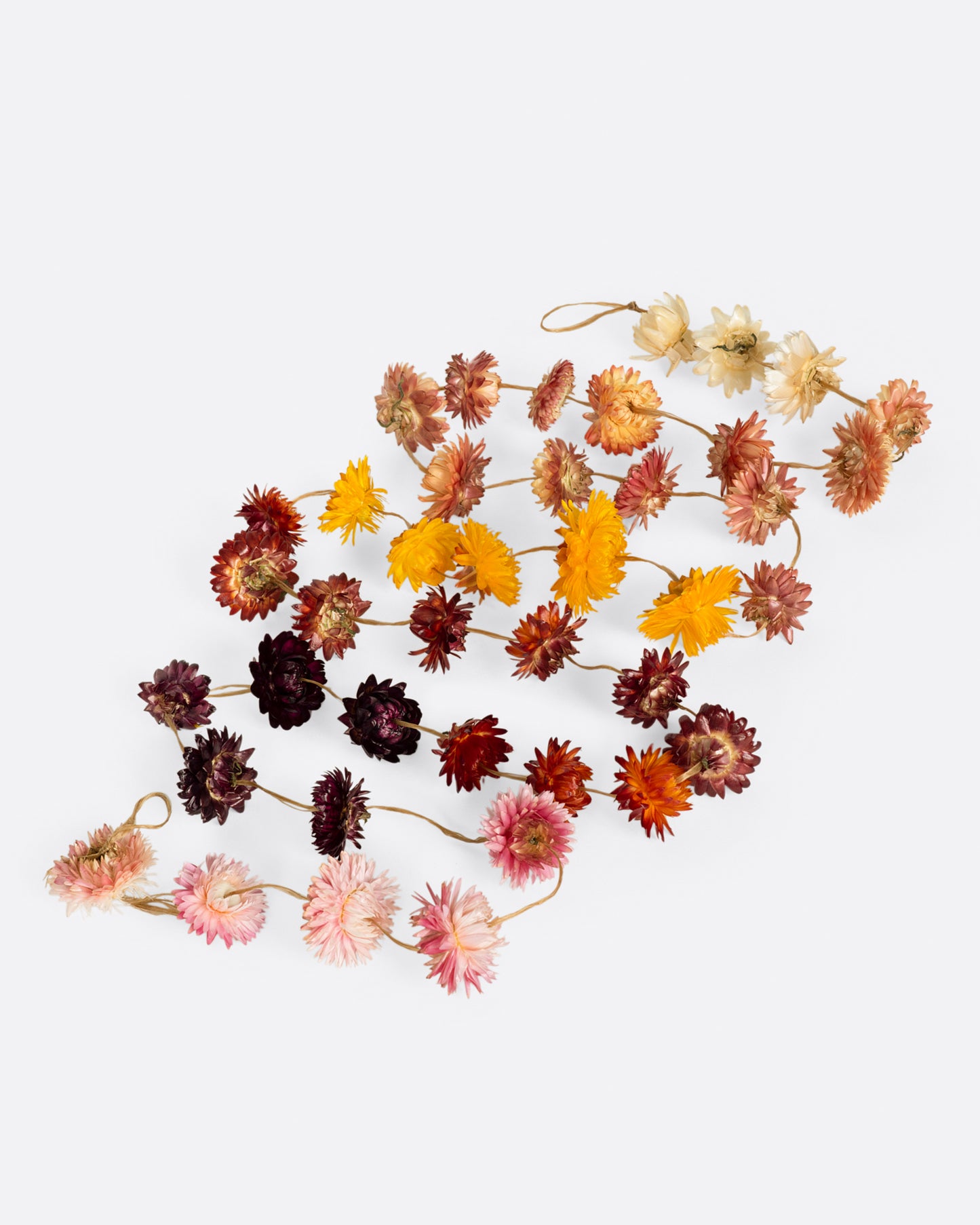 These garlands are hand strung and knotted with homegrown strawflowers, sure to brighten any space.