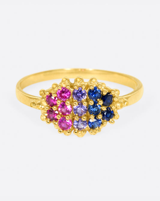 A yellow gold signet style ring whose face is lined with ombré pink to blue sapphires in textured prong settings.