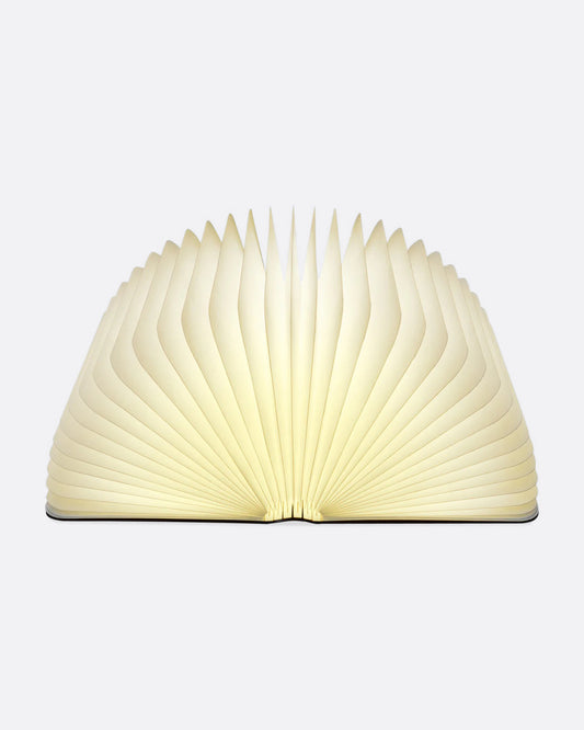 Smart Book Light