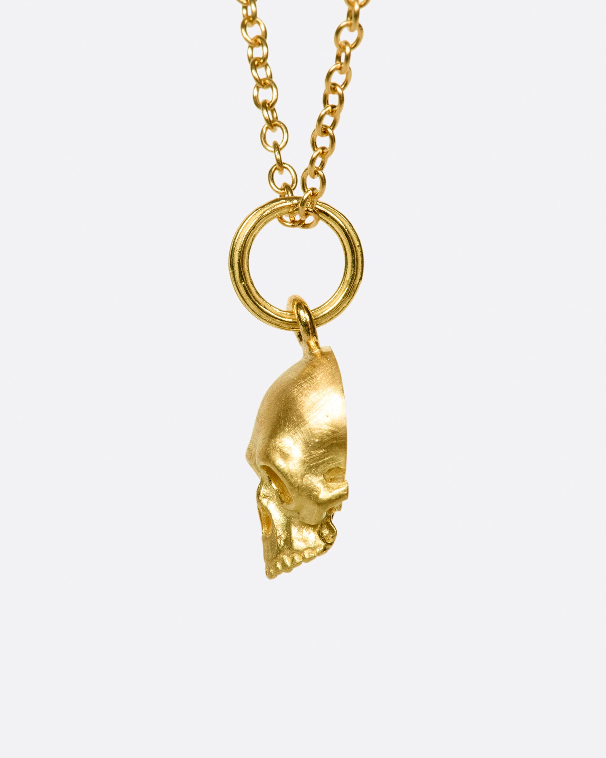 A cable chain necklace with a skull pendant based on the anatomical illustrations of Leonardo Da Vinci.