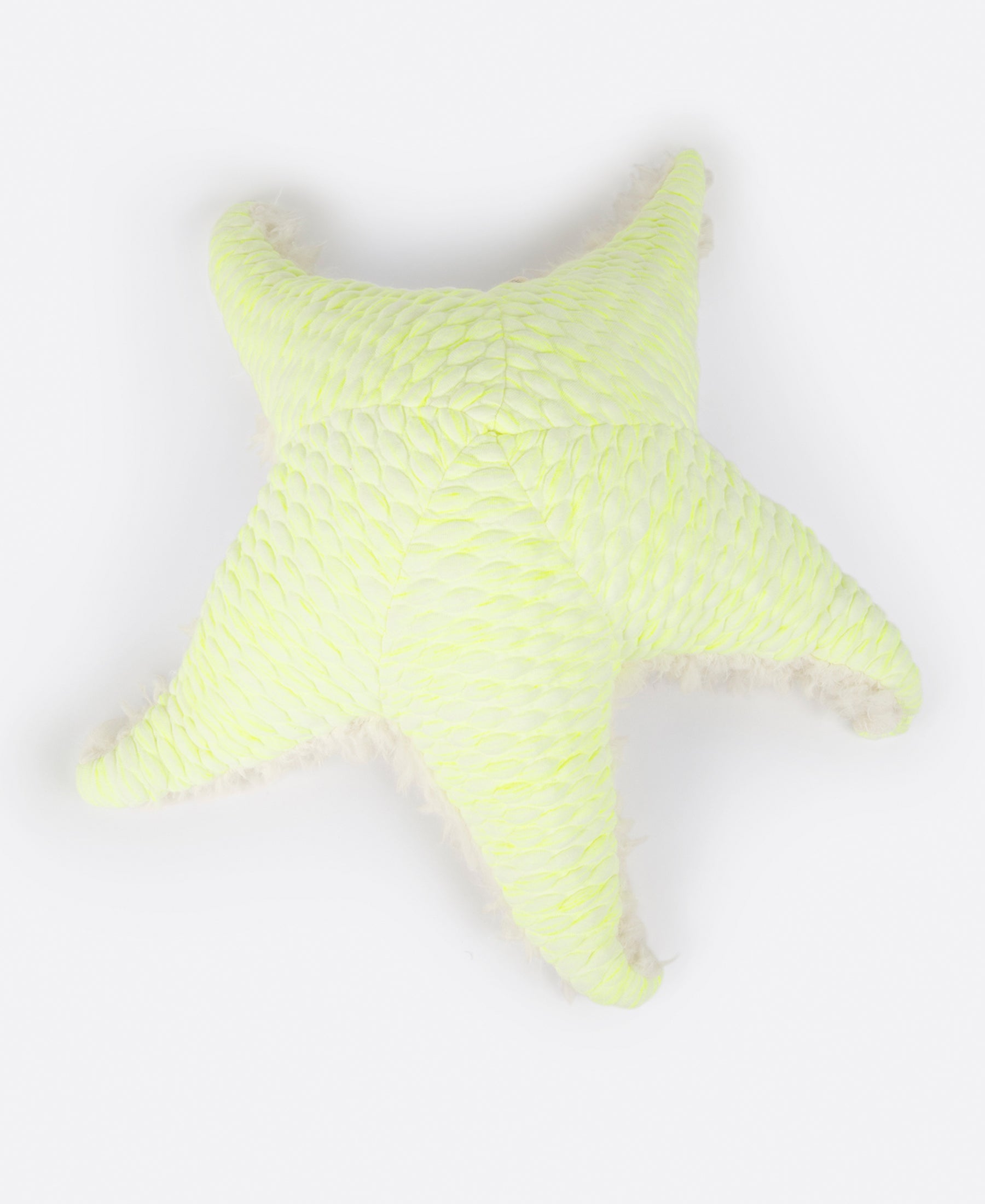 Outlets Big Neon Sea Star - Handmade Stuffed Animal / Pillow