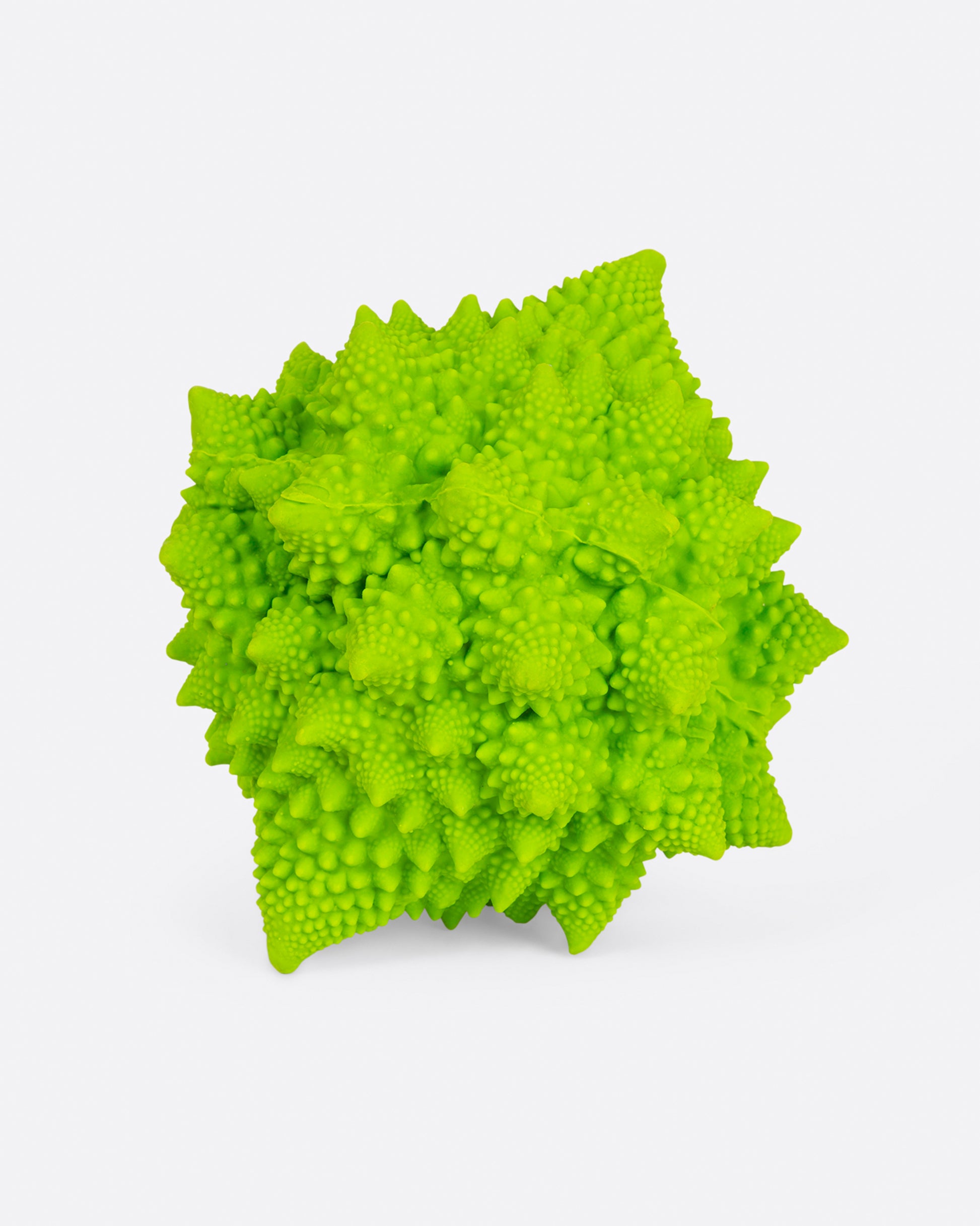 Side view of romanesco dog toy