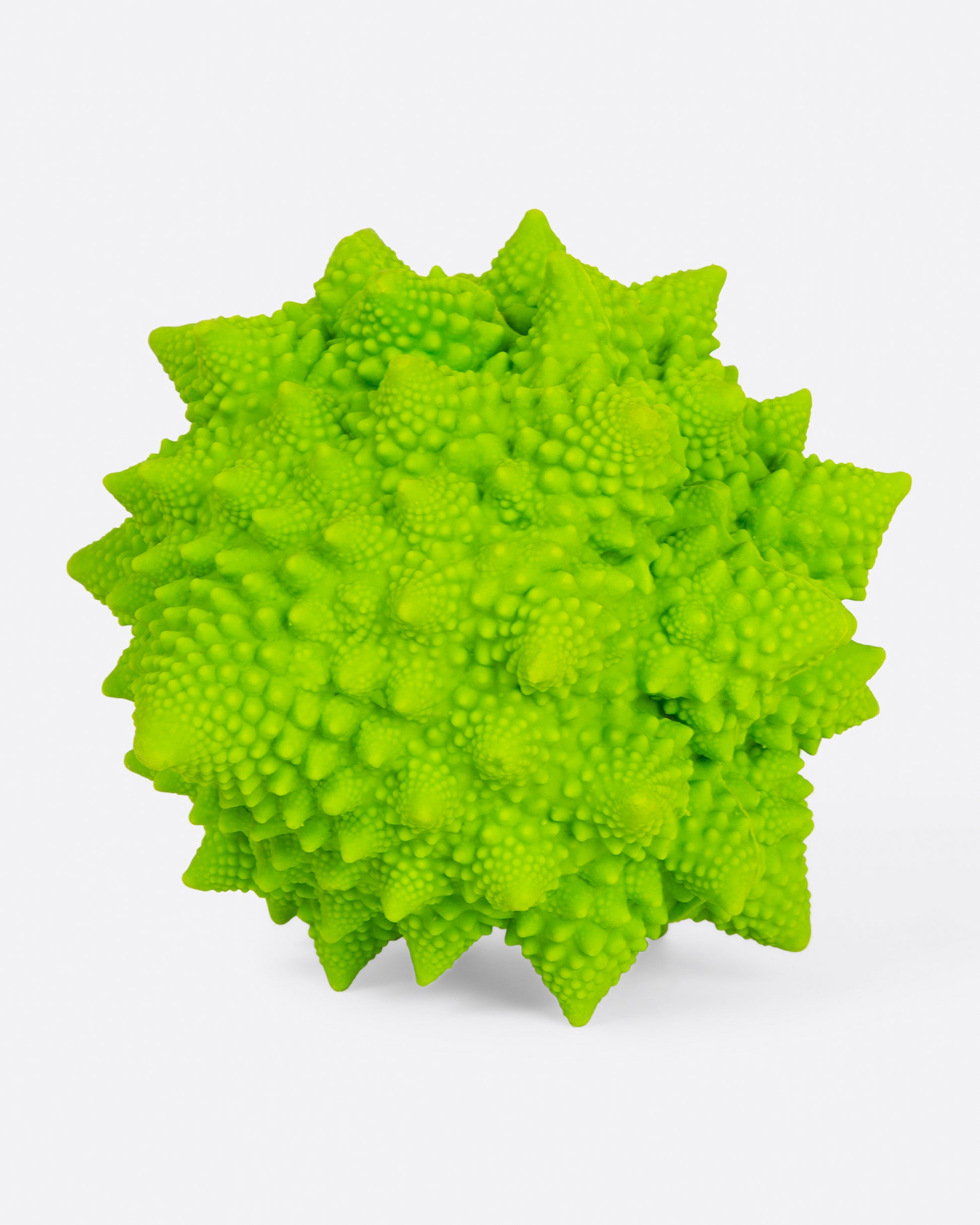Front view of romanesco dog toy