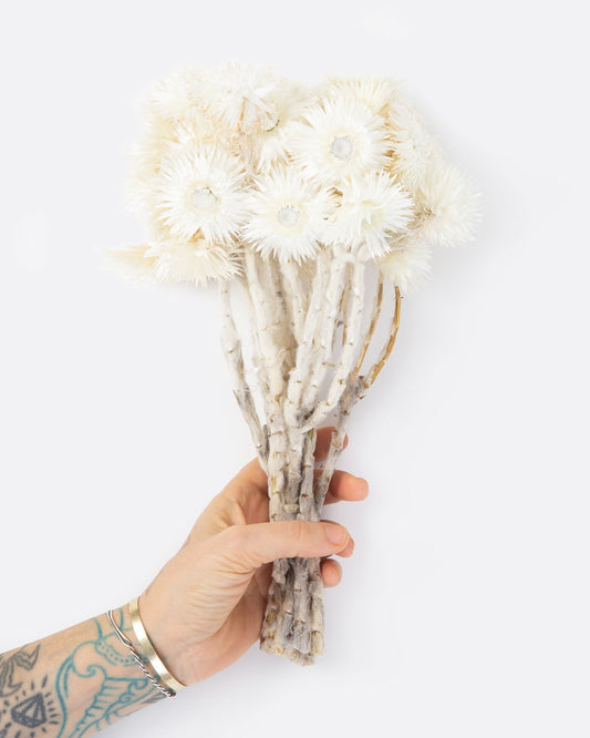 Dried Florals — Forever Florals — by The Flowersmith