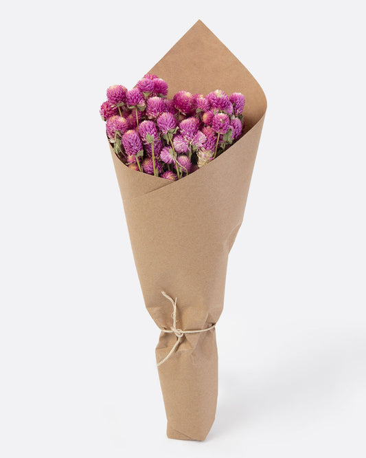 Bundle of dried bicolor pink amaranths wrapped in brown paper.