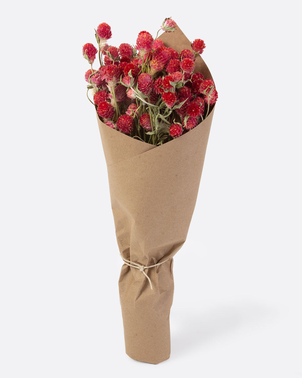 Bundle of dried red globe amaranths wrapped in brown paper.
