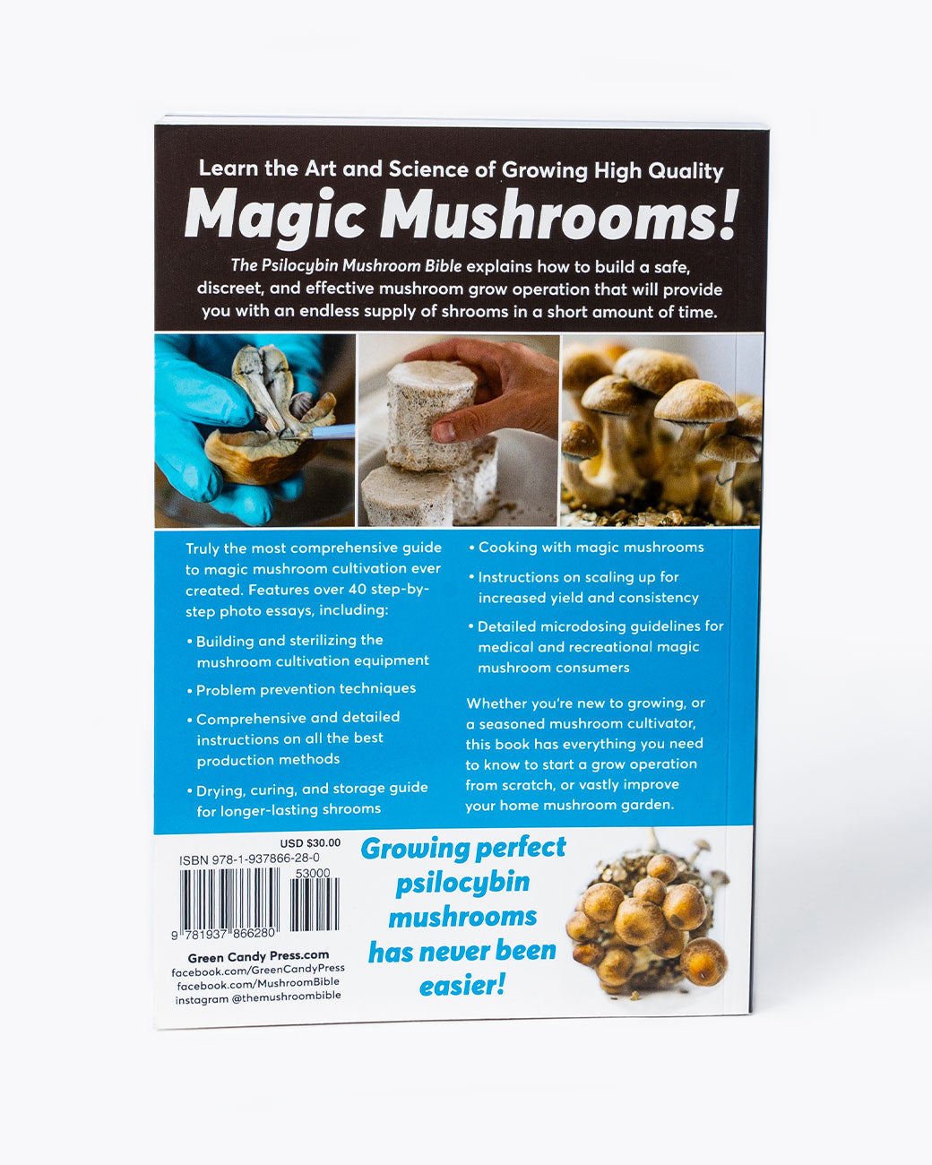 Back cover of The Psilocybin Mushroom Bible book.