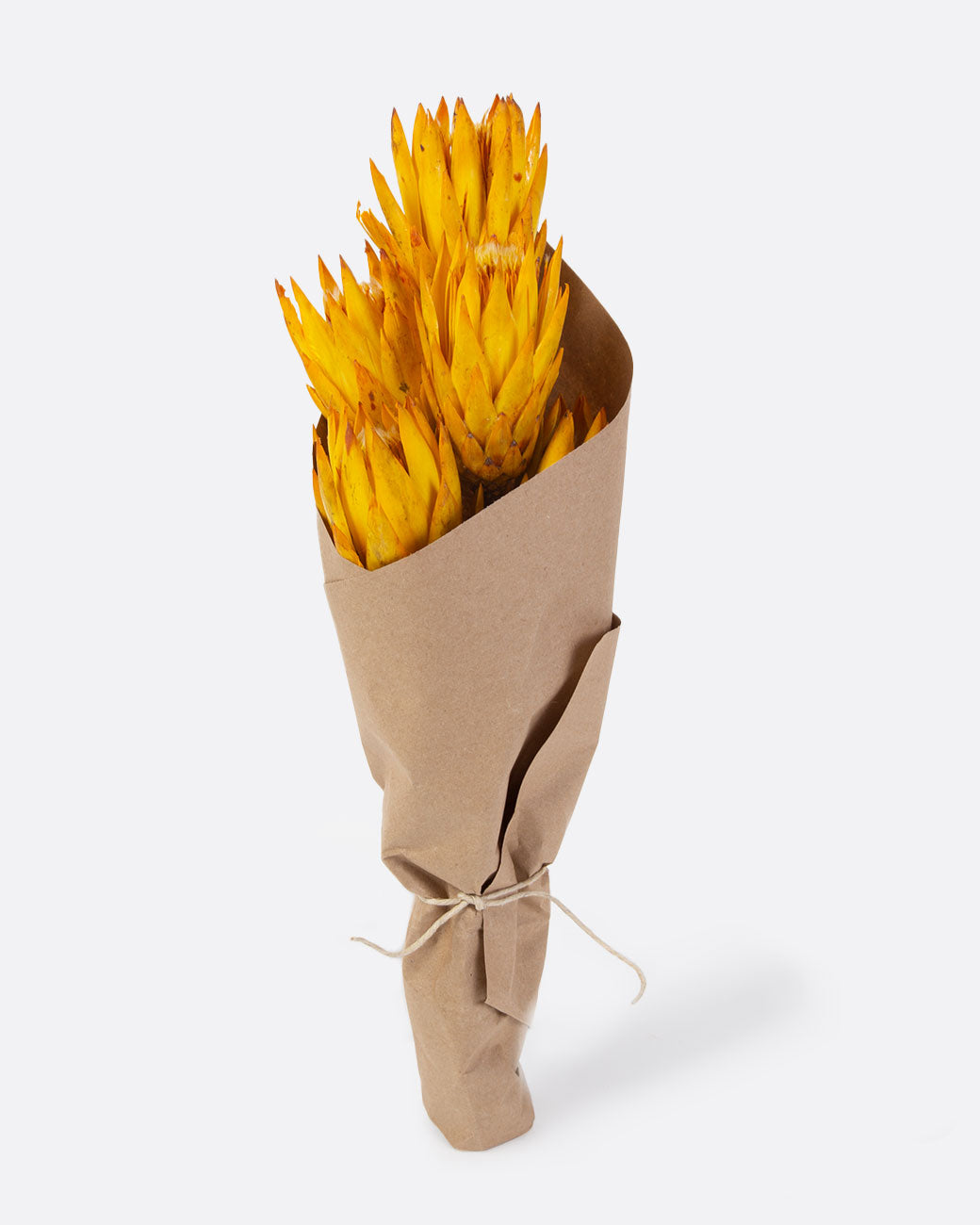 Bundle of dried yellow protea wrapped in brown paper.