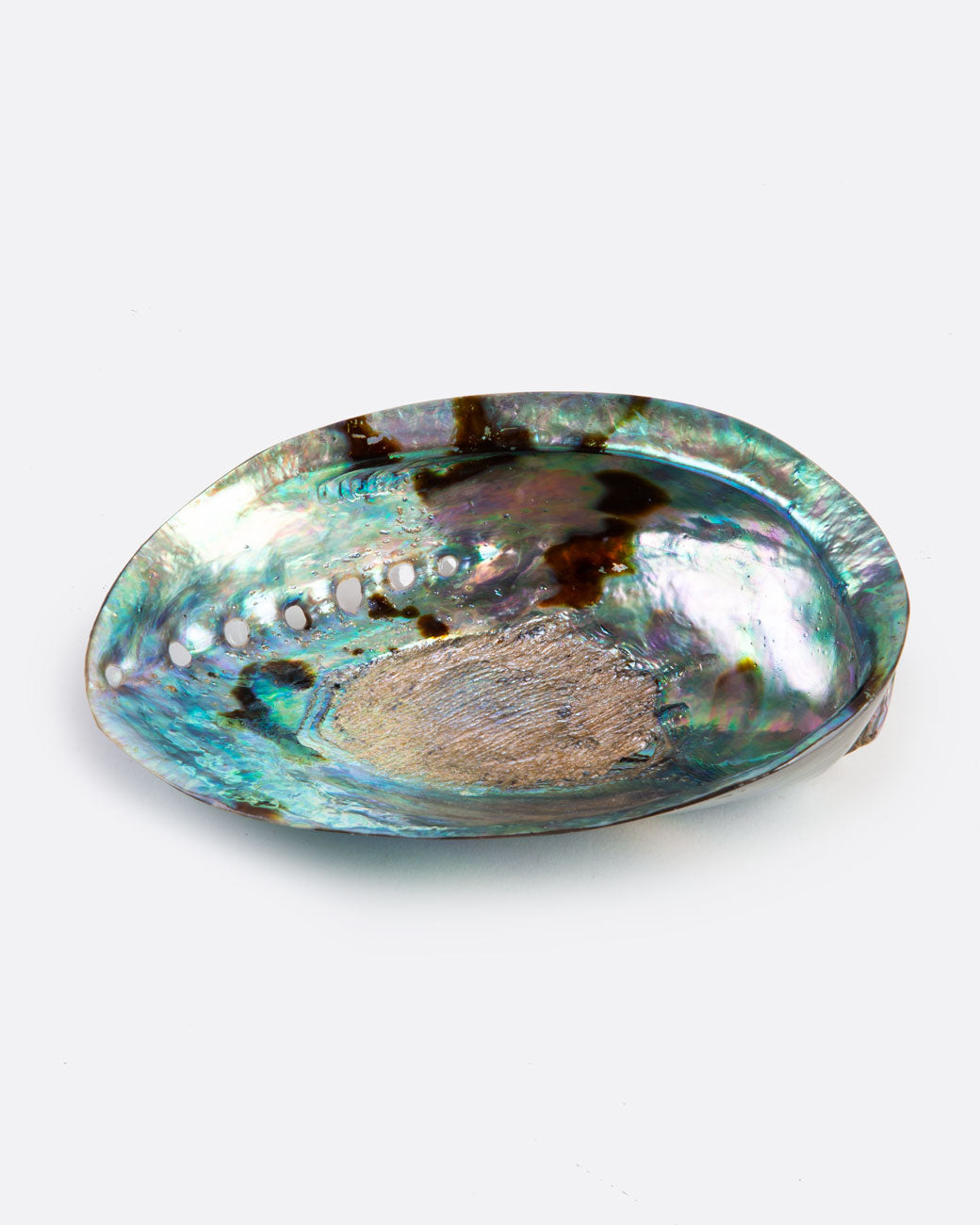 a colorful abalone shell with a glossy finish sits on a white surface.